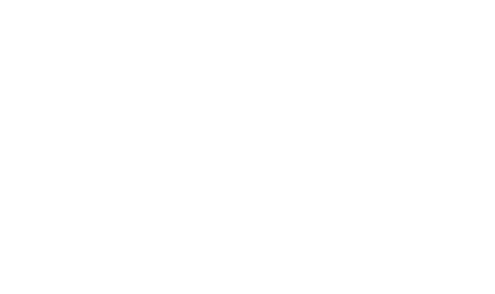 Dr. Michael Egger